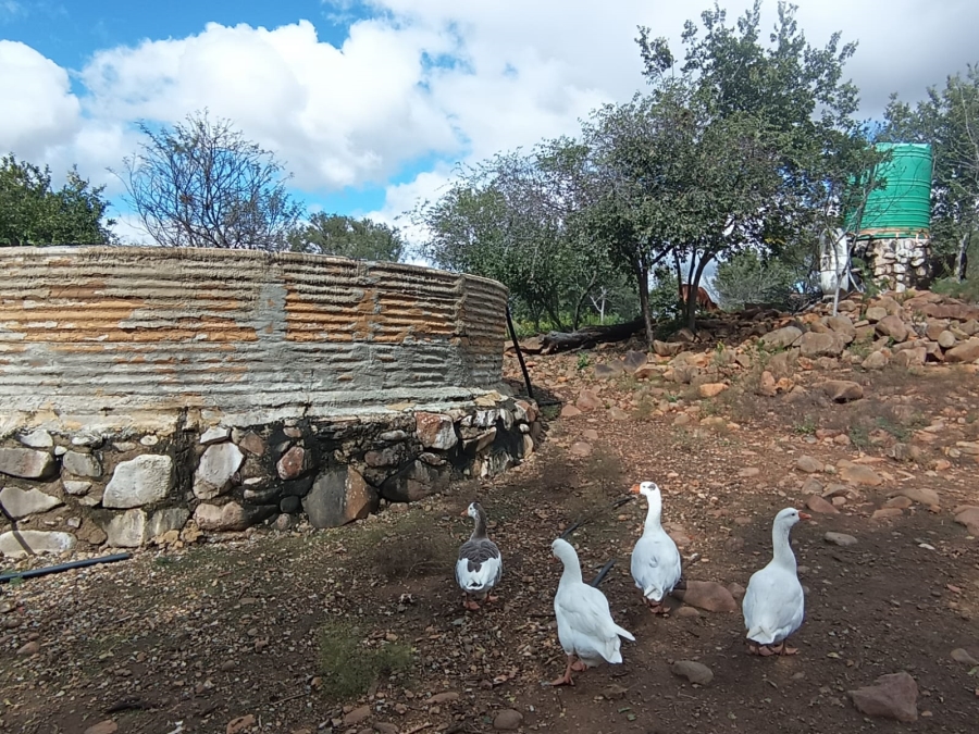 3 Bedroom Property for Sale in Koppies Free State